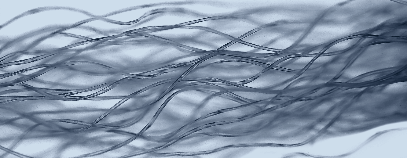 filament yarn